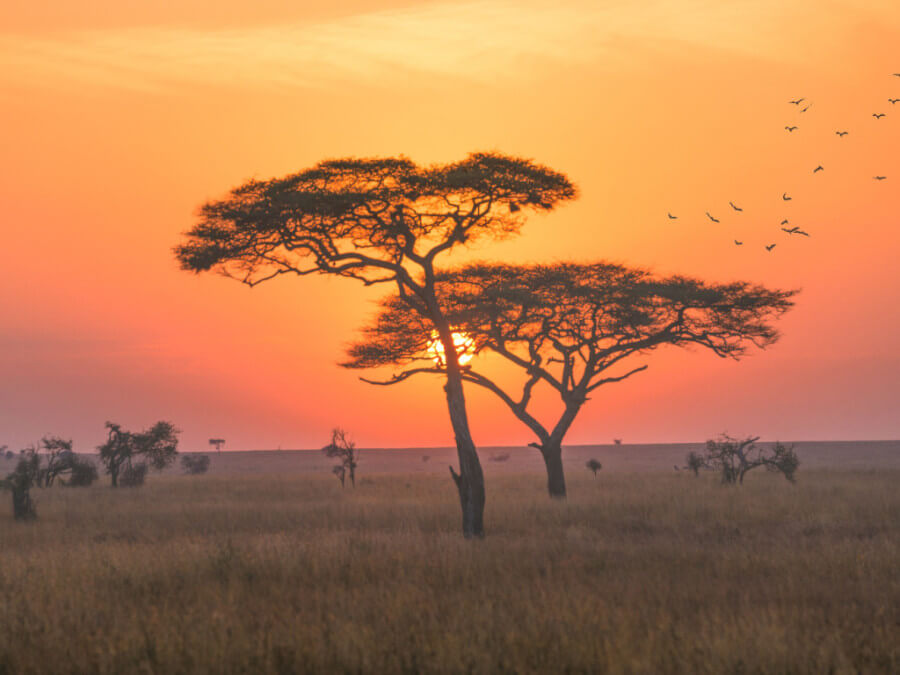 Serengeti National Park